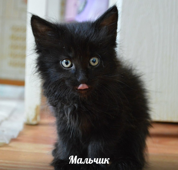 71D77C59-BC42-407D-9F0E-E4857187D19B