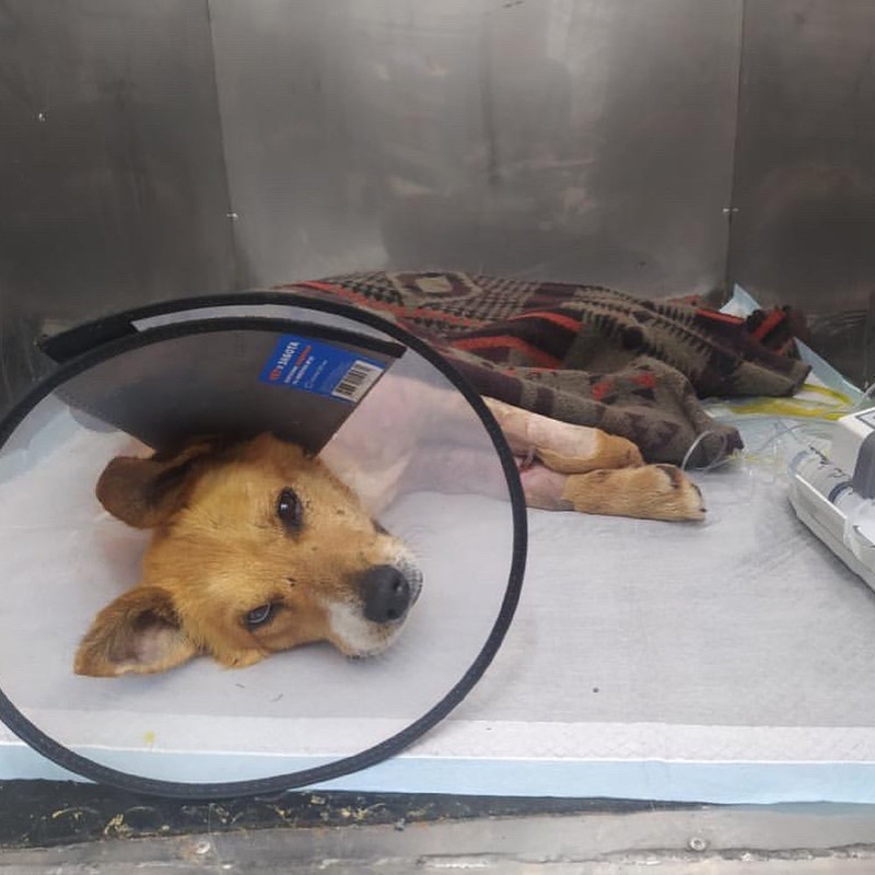 BB99A4F2-4442-4EA1-92B4-6890435EC0DB