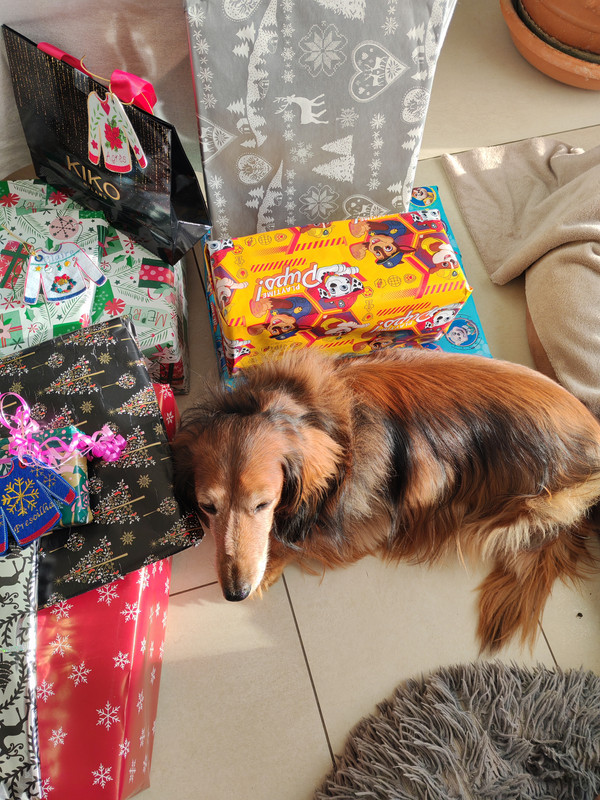 [Image: IMG-20241225-095943.jpg]