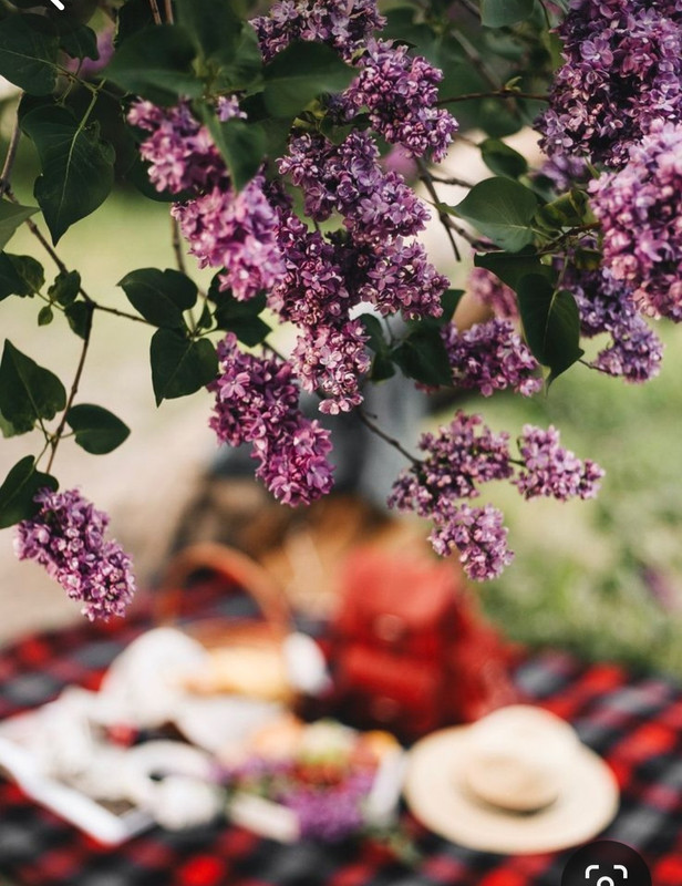 Screenshot_20240331_004433_Pinterest