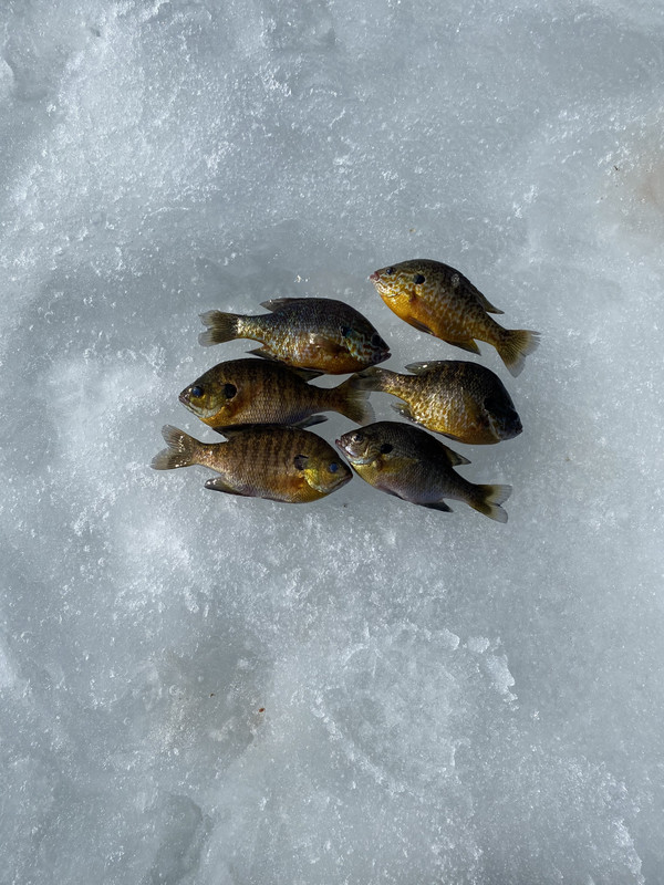 0815D579-EA44-4036-8351-7D81C5B1FF57