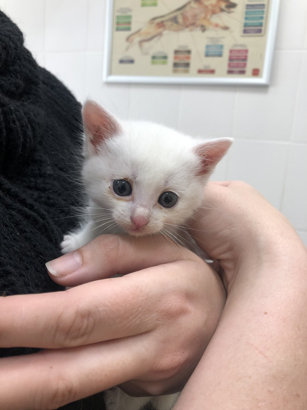 5AA6BD29-DDFF-4BEF-A2BB-A4267D8DE0D6