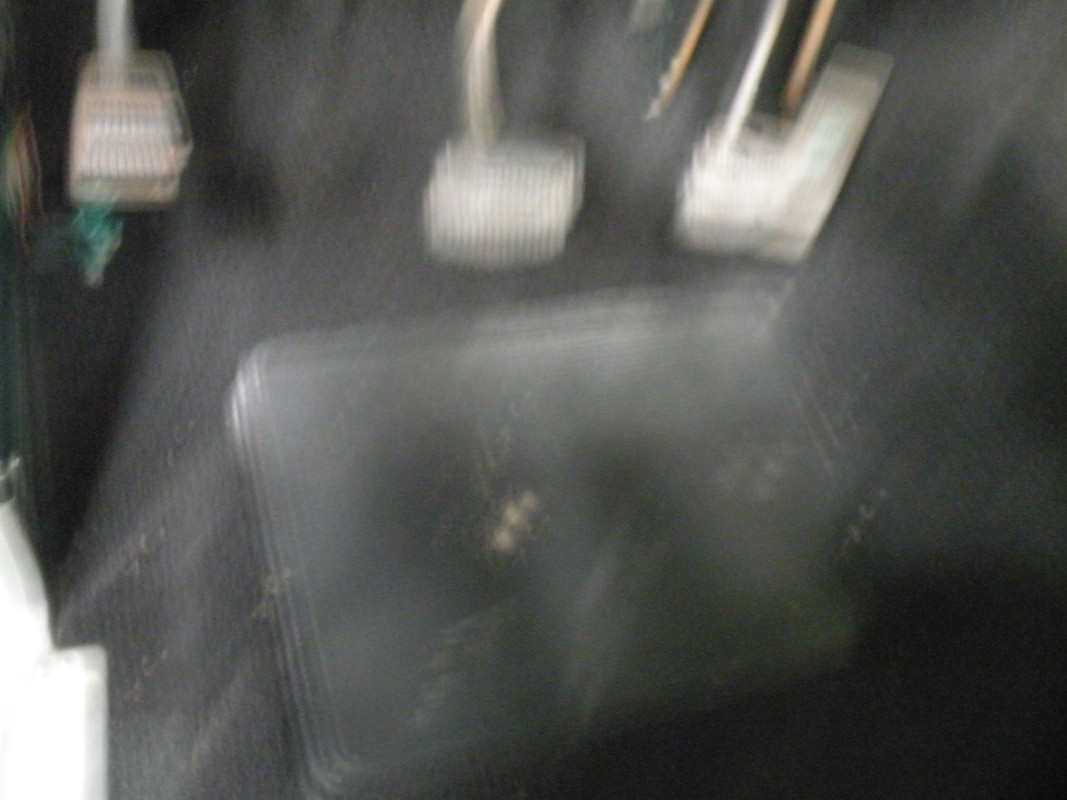 DSCN9923