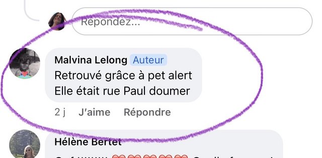 [Image: 387027-D1-E1-EB-4432-A127-4-B9-B196-B7-F2-B.jpg]