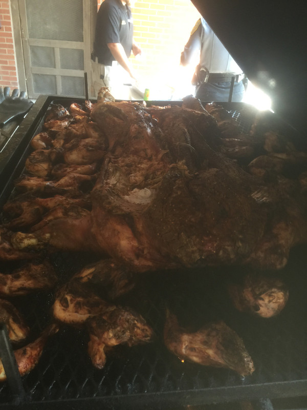 F10153AE-58AB-48AC-A445-9F7C22B064FD