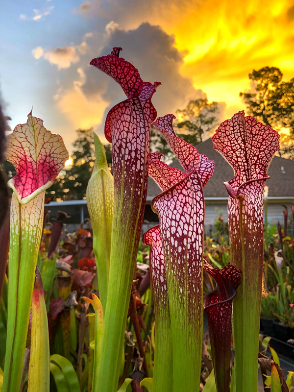 27607EA9-422D-43D9-A983-0CAF84CA5F58