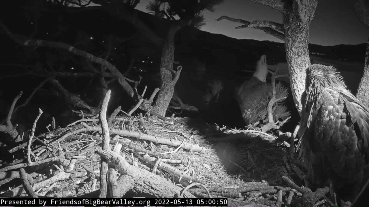 Webp.net-gifmaker (2)