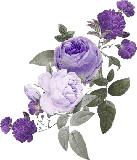 IMG-9009.png