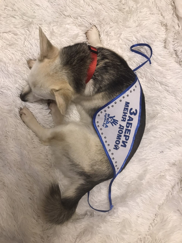 A64CBDC1-775B-4B82-8FD7-9BECB74E0677