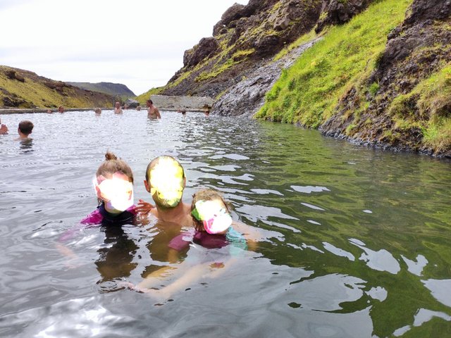 Islandia 2020: En autocaravana y sin coronavirus - Blogs de Islandia - --Día 4 (25 julio): Keldur - Trío de cascadas - Seljavallalaug - Solheimajokull (12)