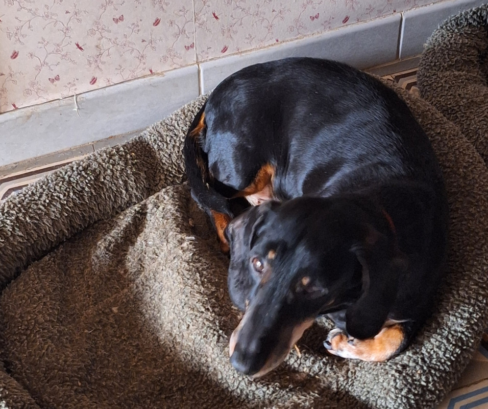 [Image: 20240128-145901.jpg]