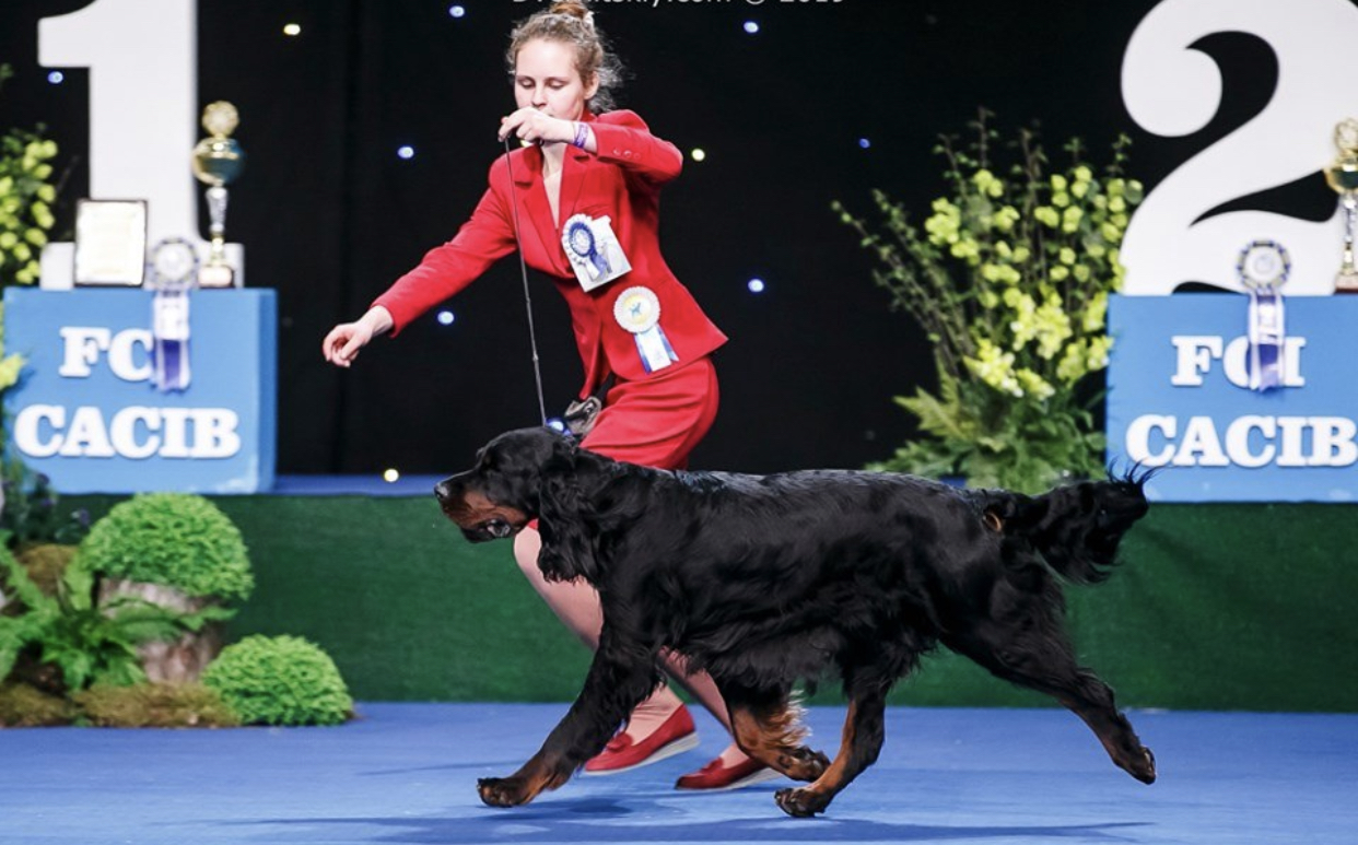 DF4132A6-C909-4210-865A-6676ABF9B70C