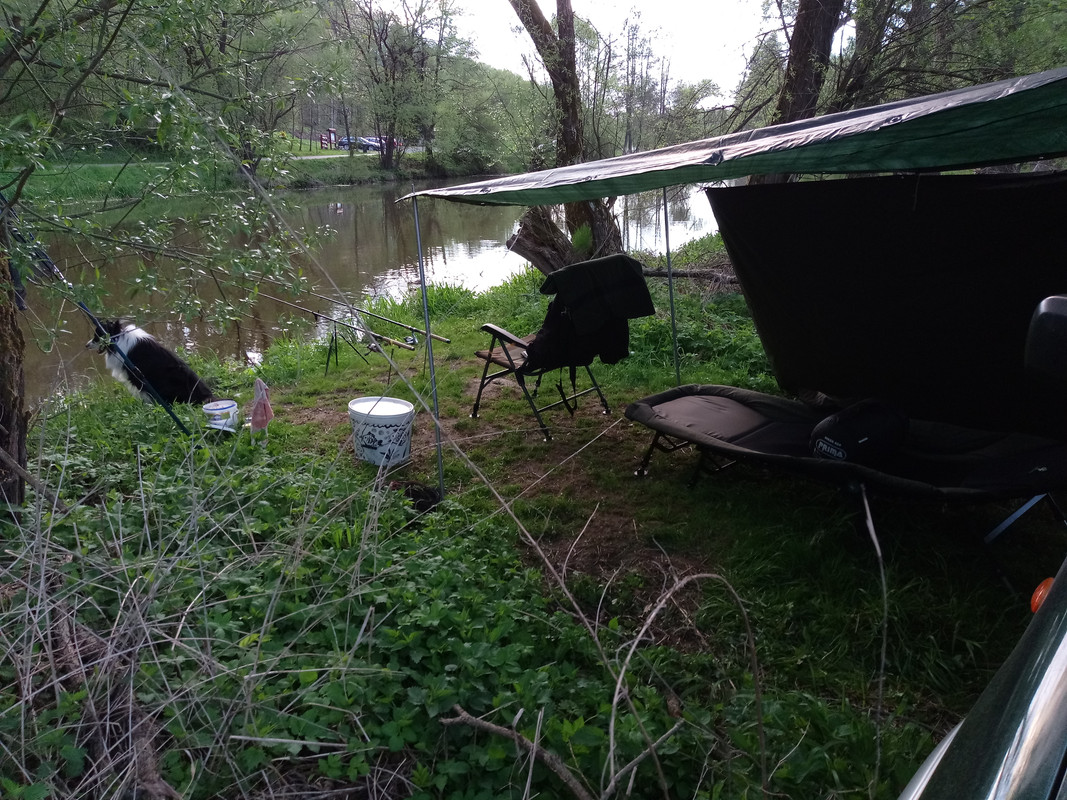 IMG_20200501_194354