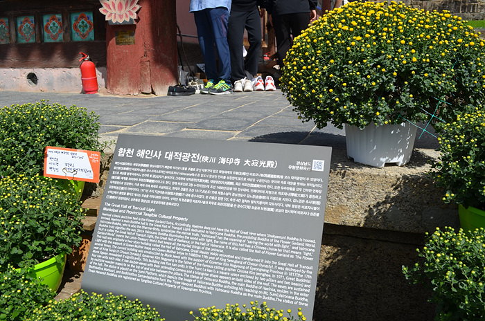 DSC-0788