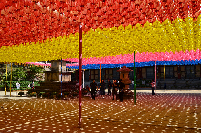 DSC-0785