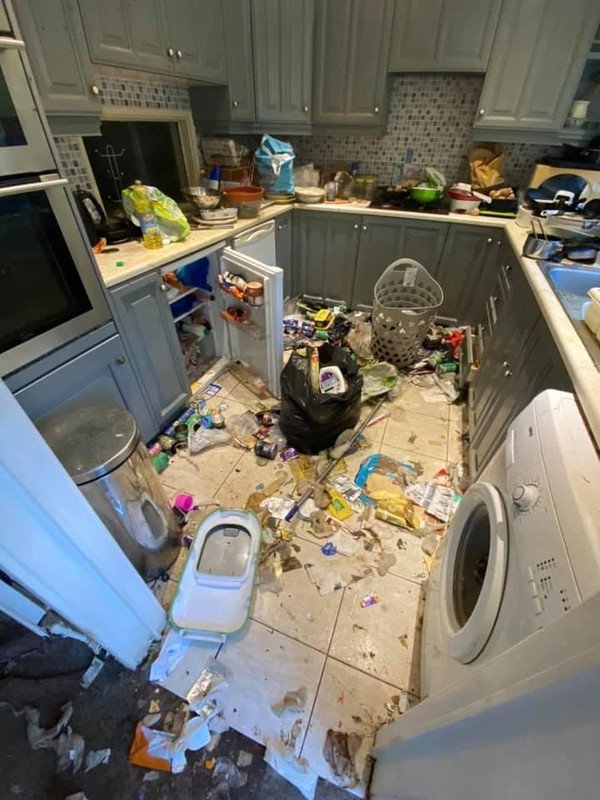 D2016A90-B247-4064-89EC-729AB9AC7AFF