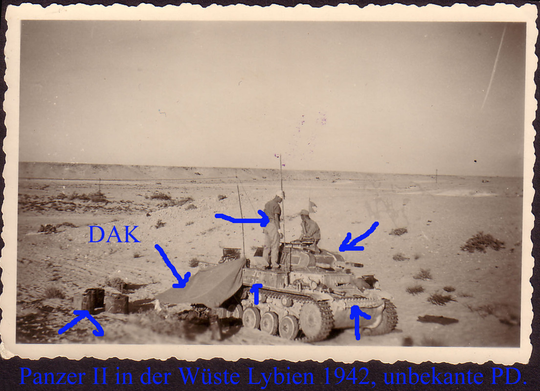 ,Panzer II in Lybien,Wüste,Afrikakorps,DAK,Afrik