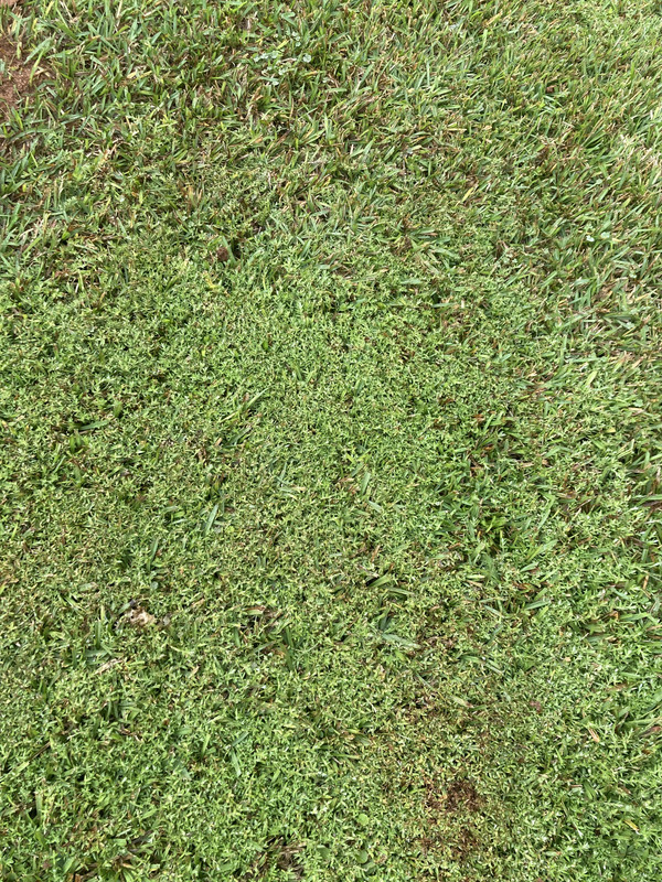 DED660CC-CDED-4308-880F-252552E54A7C