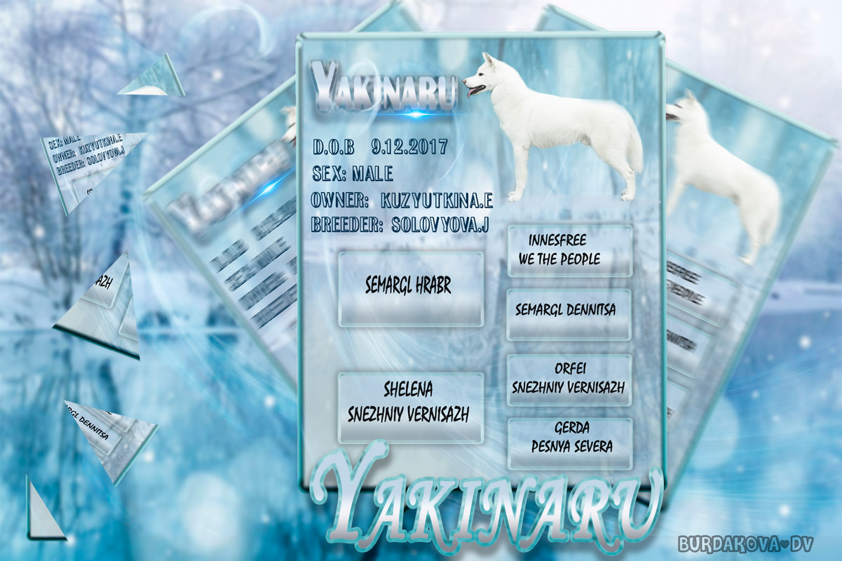 презентация кобеля@1x.jpg1