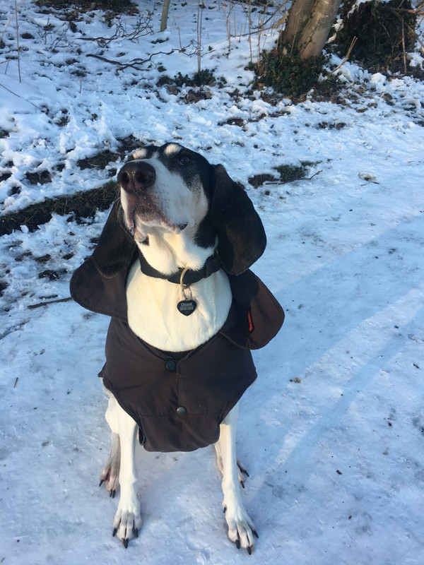 6F02515E-CAEC-4083-86E7-72CDDA2FCF30