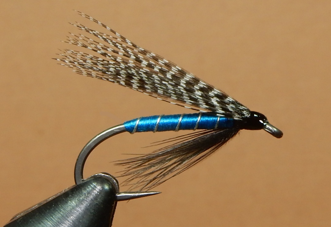 Teal-Blue-Hellekson-1080.jpg