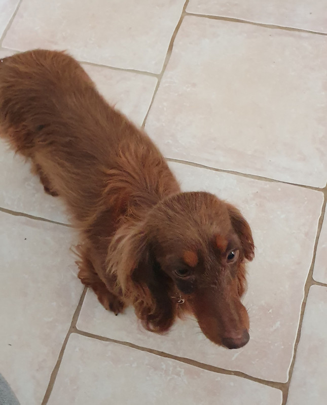 [Image: 20230524-102010.jpg]