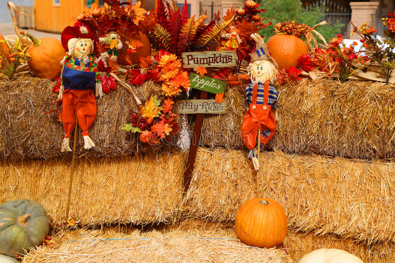 [Image: fall-decorations-freshly-picked-multicol...880849.jpg]