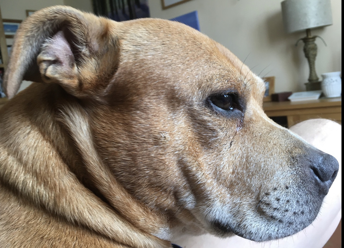 EE36DAF5-A16B-4499-840B-CE74F3FB7018