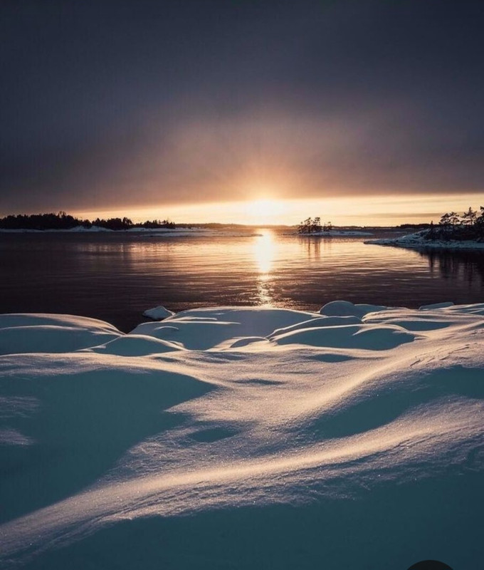 Screenshot_20240119_222229_Pinterest