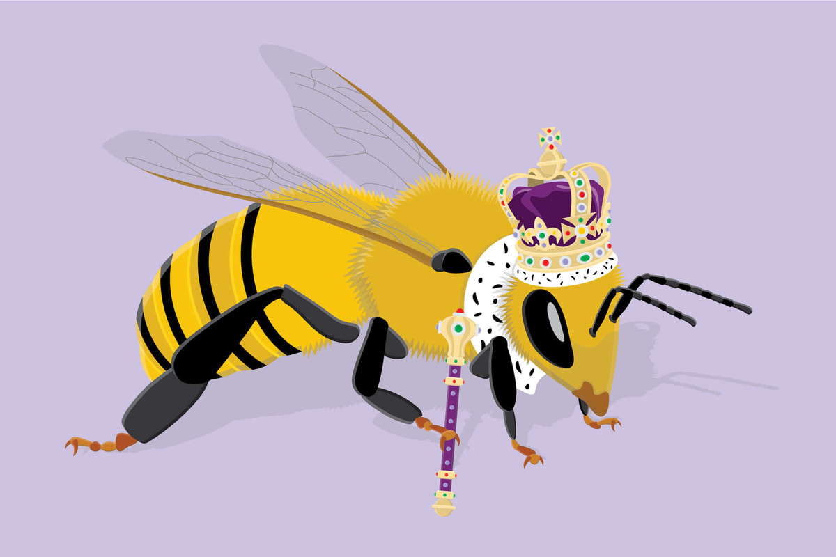 queen-bee-pictures-2444-x-1629-0lk36nykhhd7alox