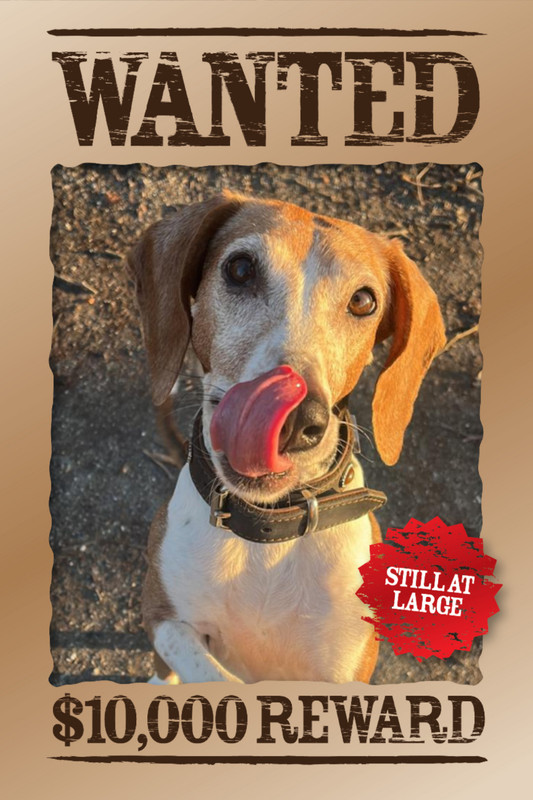 ABC80BB1-C4BA-4516-AD44-076407FAD4CA