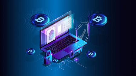 Cryptocurrency Wallets Course: Secure Your Cryptos Safely!