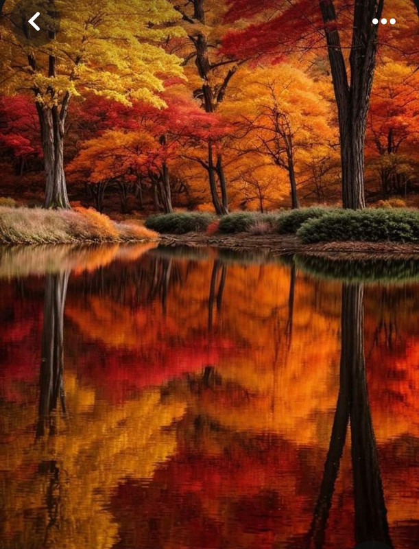 Screenshot_20231112_231206_Pinterest