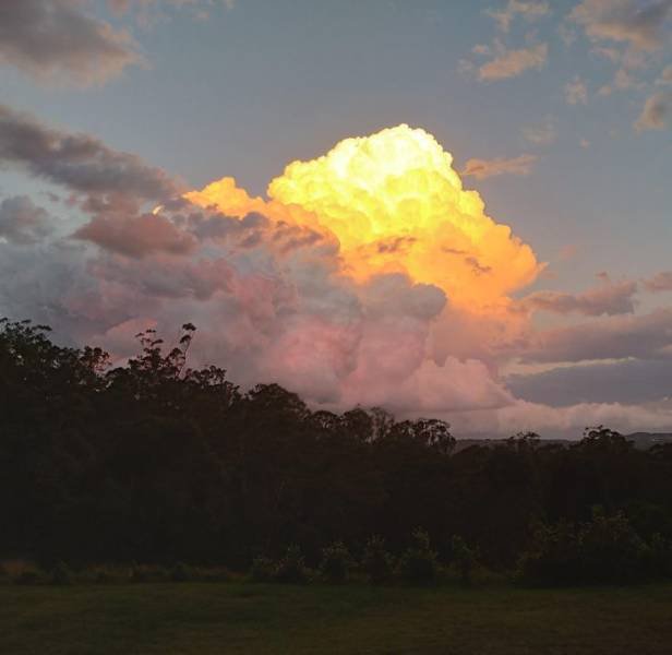 Naturaleza-9