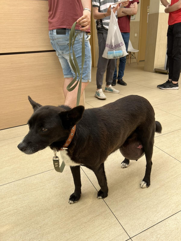 0ECE3442-B78B-4D3B-B706-9627C0C5BFD2