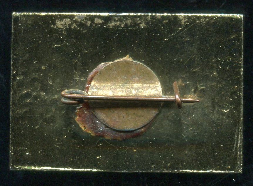 СССР, спутник. Б.к., ал, 25х17, рев