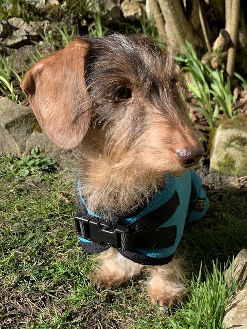 [Image: C31-FB58-A-8-F70-45-E3-9-C52-47-C9-CBC94457.jpg]