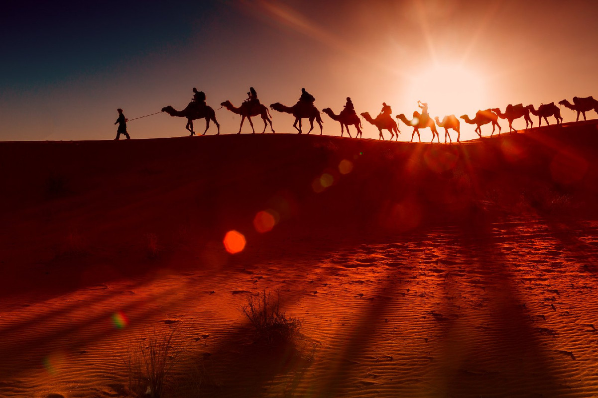 orange-camel-caravan.jpg