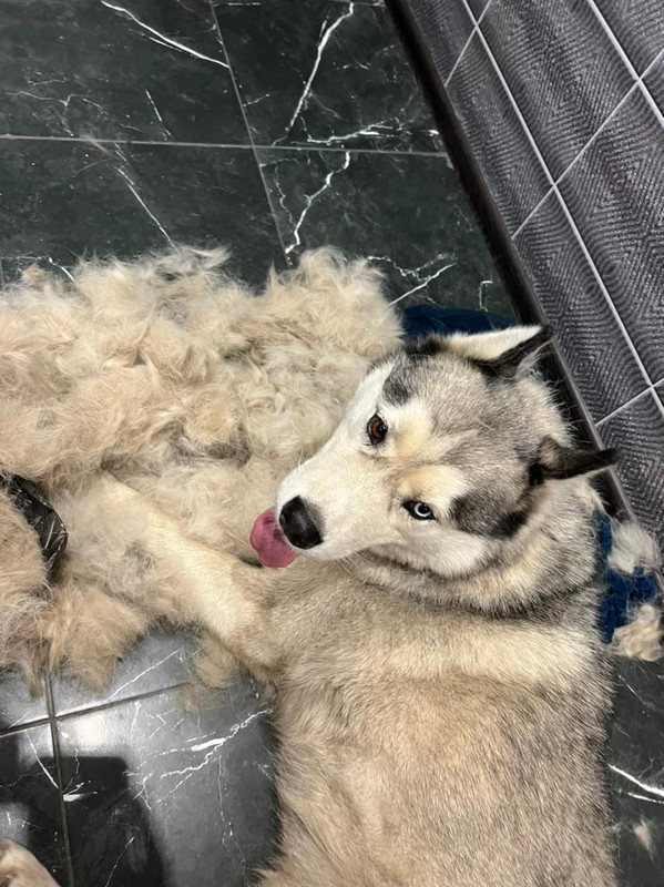 25776EEF-48A5-410D-B79C-3C3D2F9479A0