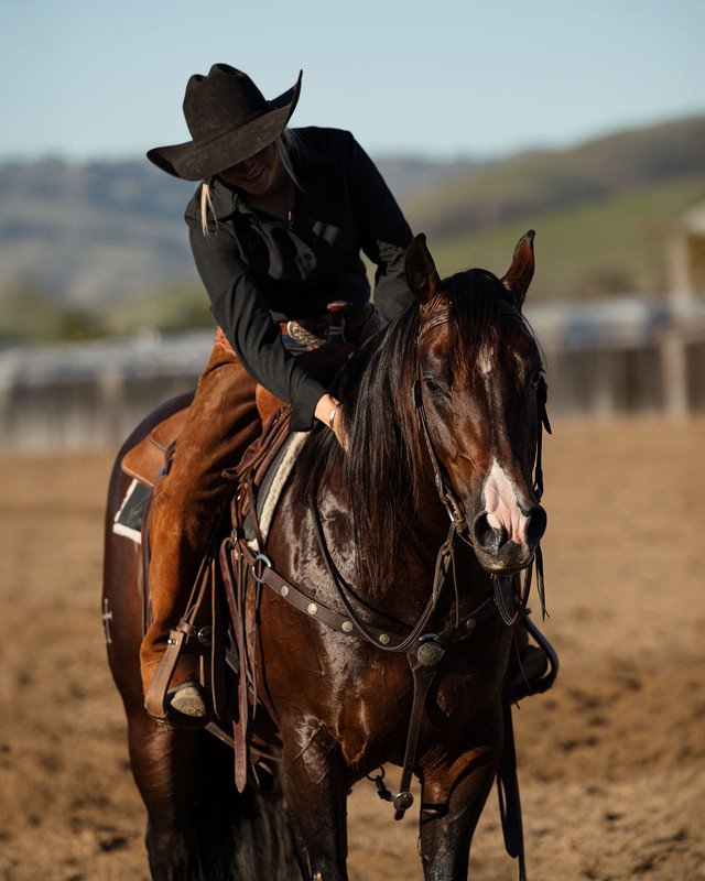 johnny rebel gallery2