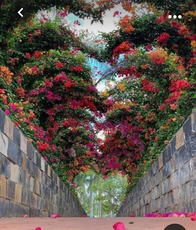 Screenshot_20231017_214704_Pinterest