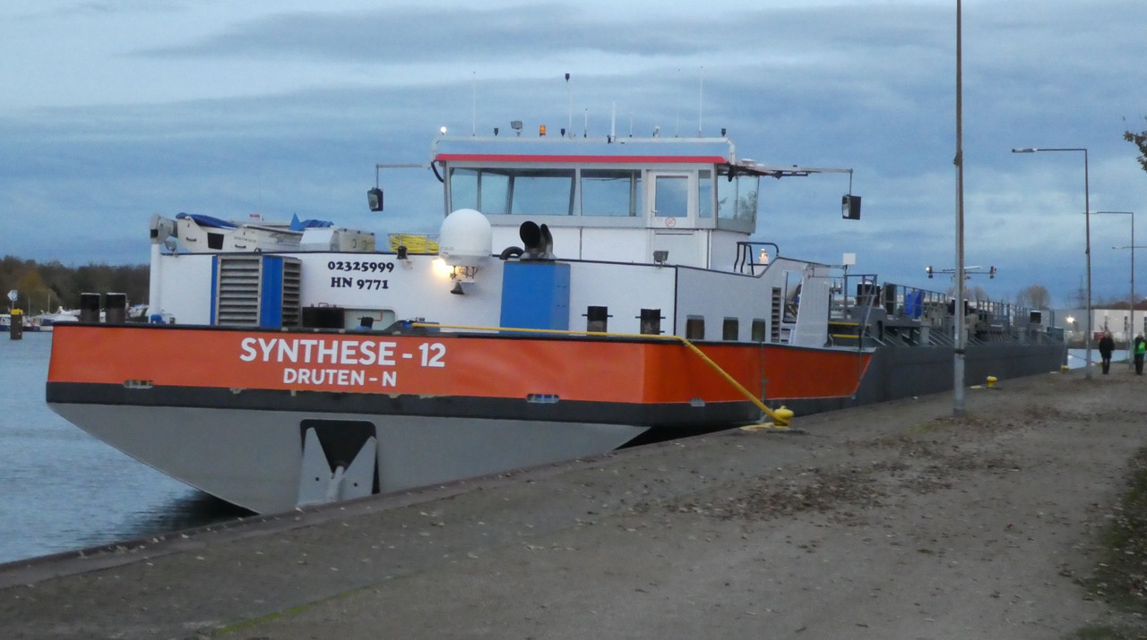 2021.10.31b Synthese 12 (2)