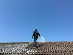A guide on cleaning a roof