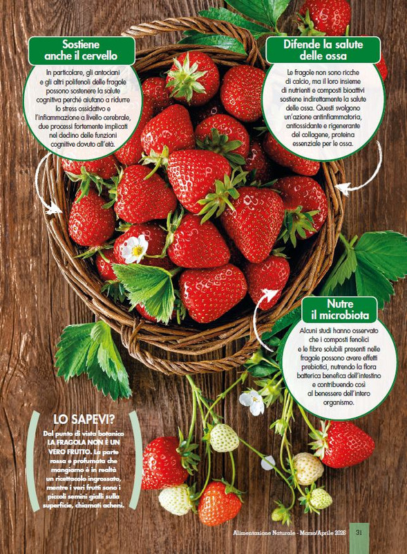 Alim Nat Mar Apr 2026 (2)