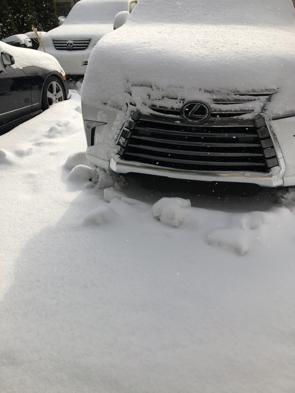 27DA3F5D-1434-46CD-A64A-0AA1AC05CA92