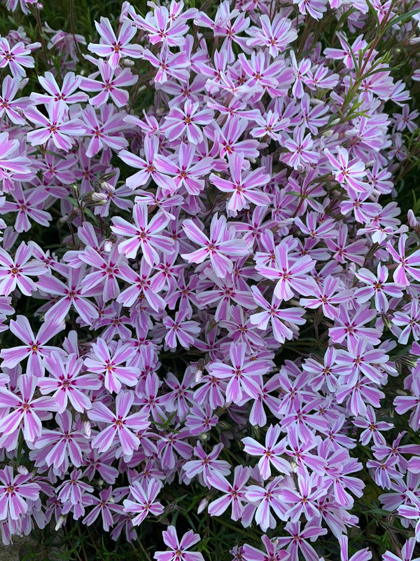 55D24116-9A7B-4008-BDD1-BD9C1C6E404F