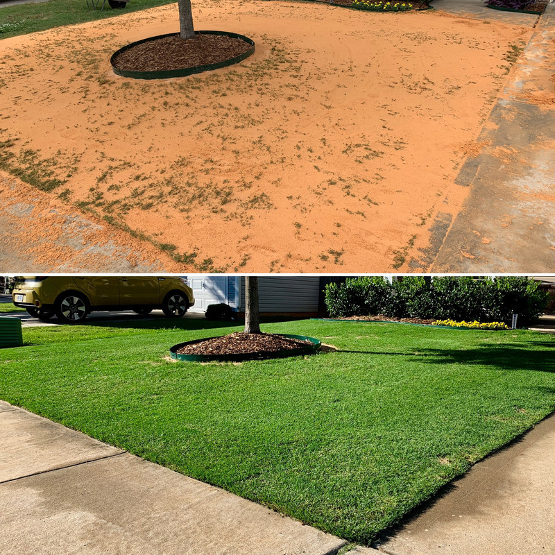 8C07485C-5B0E-4A74-BA2B-4E9AF39456BD