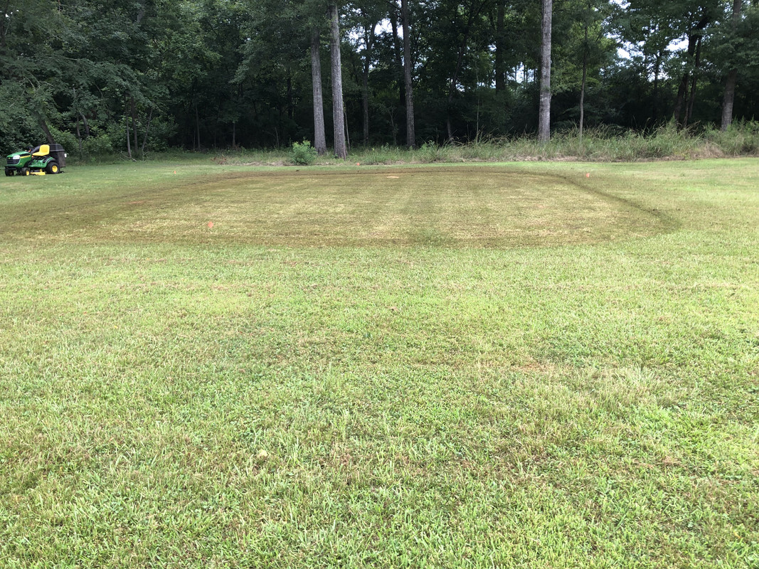 2FA8008D-5DE8-4AA1-9381-8D9CD8DA185C