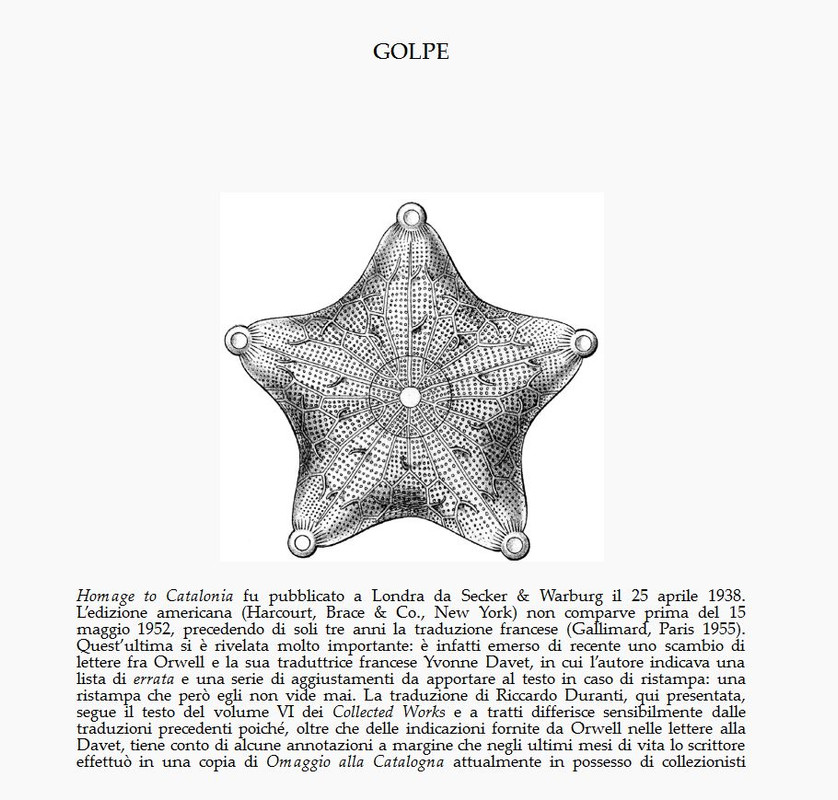 Il Peg M Poss (2020) 2