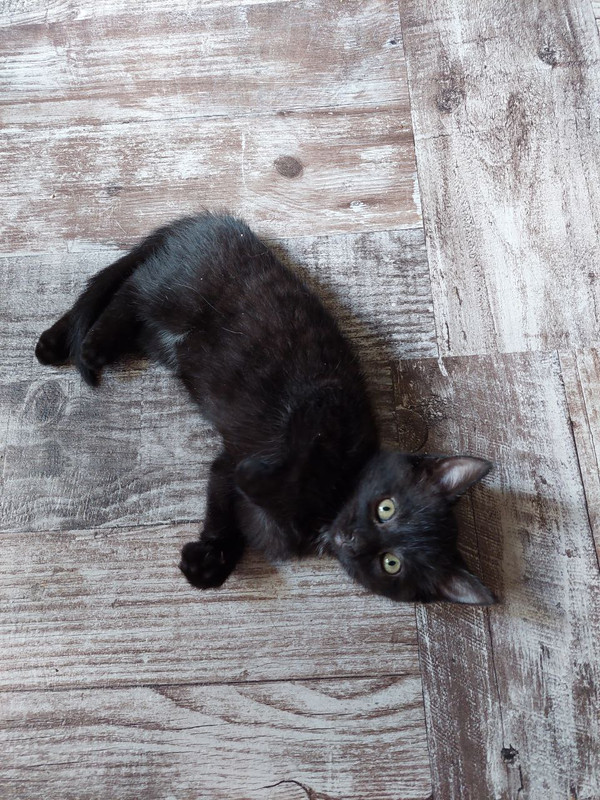 2A07D3C5-4481-4CF5-9027-4EEB6E586B98